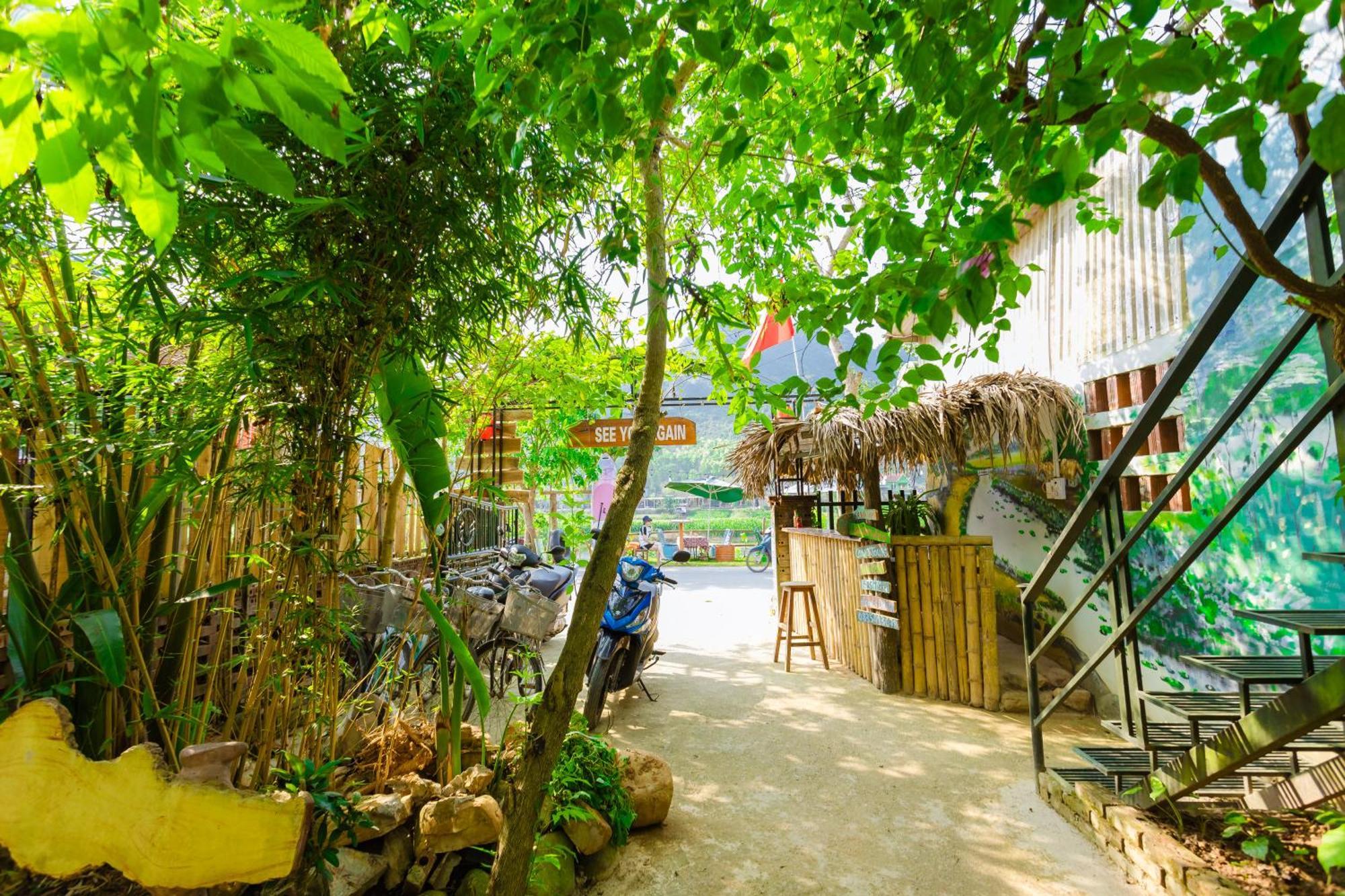 Son River Homestay Phong Nha Exterior foto